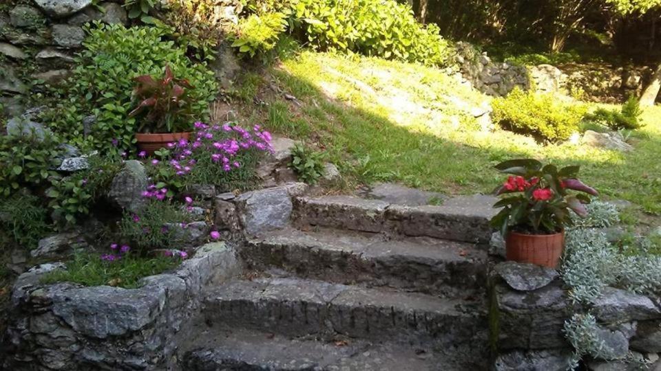 Casa Zizi Villa Crodo Dış mekan fotoğraf