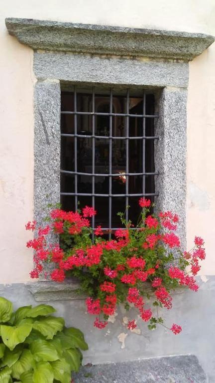 Casa Zizi Villa Crodo Dış mekan fotoğraf