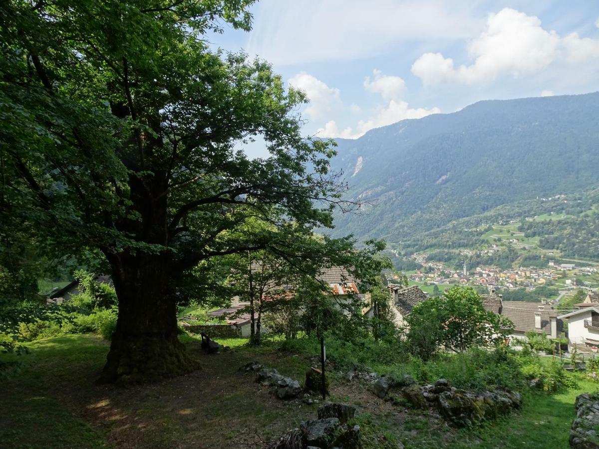 Casa Zizi Villa Crodo Dış mekan fotoğraf